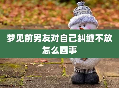 梦见前男友对自己纠缠不放怎么回事