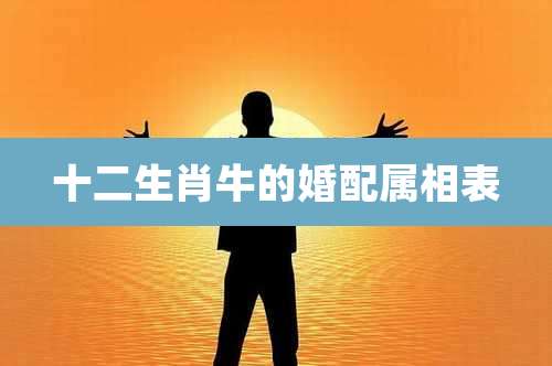 十二生肖牛的婚配属相表
