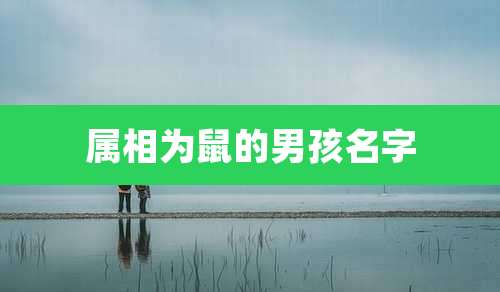 属相为鼠的男孩名字