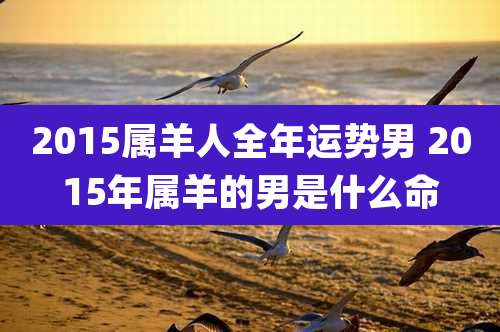 2015属羊人全年运势男 2015年属羊的男是什么命