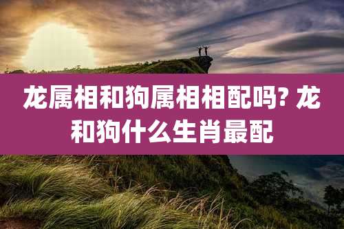 龙属相和狗属相相配吗? 龙和狗什么生肖最配