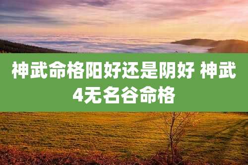 神武命格阳好还是阴好 神武4无名谷命格