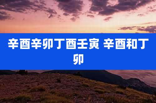 辛酉辛卯丁酉壬寅 辛酉和丁卯