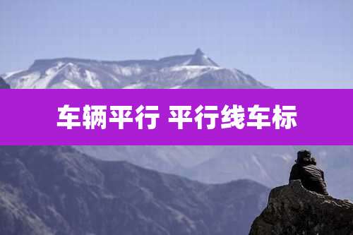 车辆平行 平行线车标