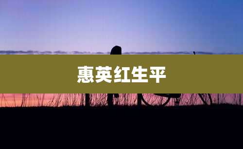 惠英红生平