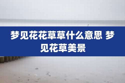 梦见花花草草什么意思 梦见花草美景