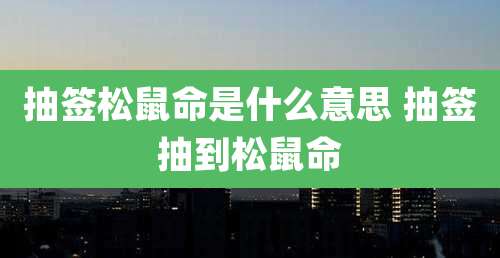 抽签松鼠命是什么意思 抽签抽到松鼠命
