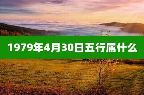 1979年4月30日五行属什么