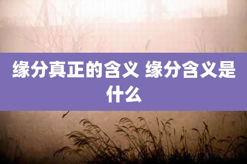 缘分真正的含义 缘分含义是什么