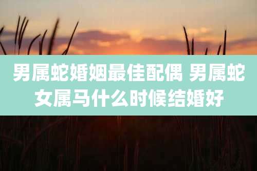 男属蛇婚姻最佳配偶 男属蛇女属马什么时候结婚好