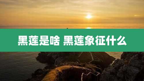 黑莲是啥 黑莲象征什么