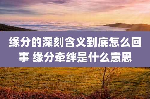 缘分的深刻含义到底怎么回事 缘分牵绊是什么意思