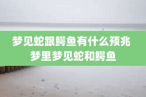 梦见蛇跟鳄鱼有什么预兆 梦里梦见蛇和鳄鱼