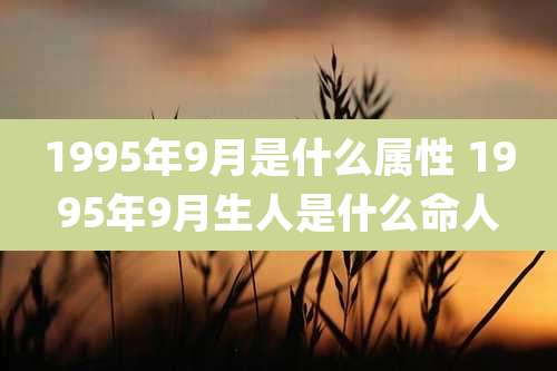 1995年9月是什么属性 1995年9月生人是什么命人