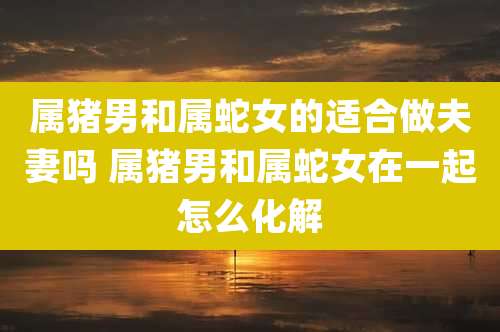 属猪男和属蛇女的适合做夫妻吗 属猪男和属蛇女在一起怎么化解