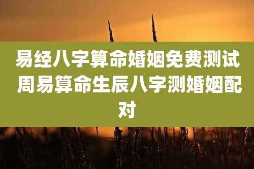 易经八字算命婚姻免费测试 周易算命生辰八字测婚姻配对