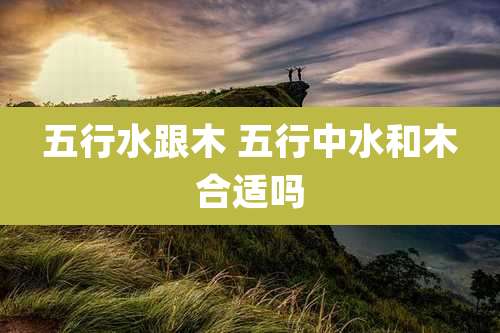 五行水跟木 五行中水和木合适吗