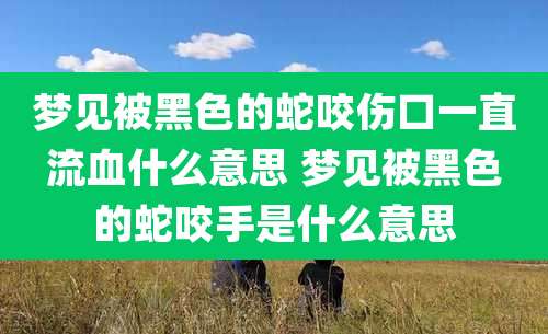 梦见被黑色的蛇咬伤口一直流血什么意思 梦见被黑色的蛇咬手是什么意思