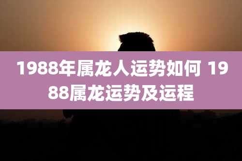 1988年属龙人运势如何 1988属龙运势及运程