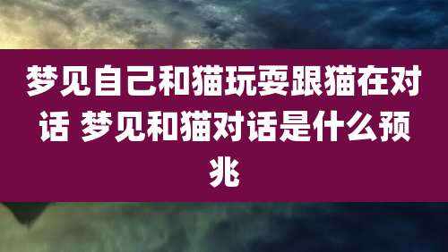 梦见自己和猫玩耍跟猫在对话 梦见和猫对话是什么预兆