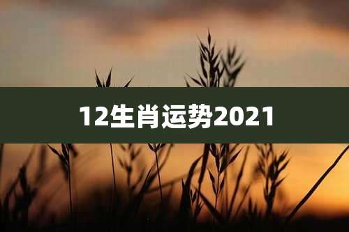 12生肖运势2021