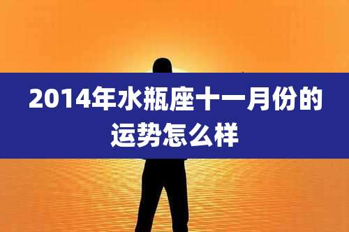 2014年水瓶座十一月份的运势怎么样