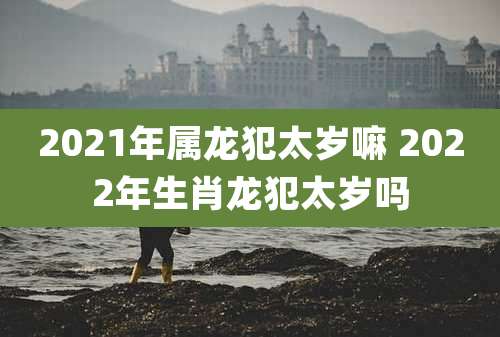 2021年属龙犯太岁嘛 2022年生肖龙犯太岁吗