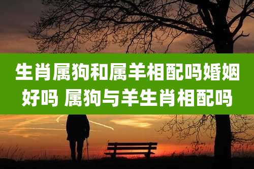 生肖属狗和属羊相配吗婚姻好吗 属狗与羊生肖相配吗