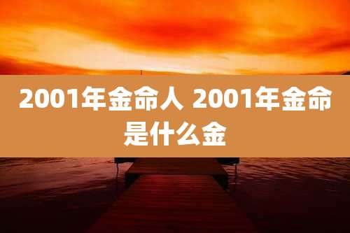 2001年金命人 2001年金命是什么金