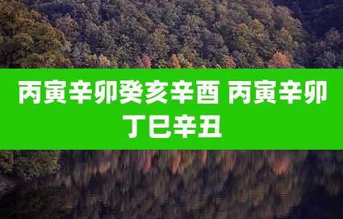 丙寅辛卯癸亥辛酉 丙寅辛卯丁巳辛丑