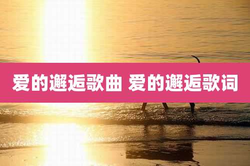 爱的邂逅歌曲 爱的邂逅歌词