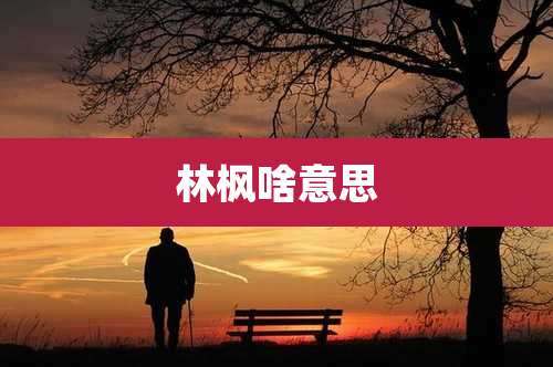 林枫啥意思