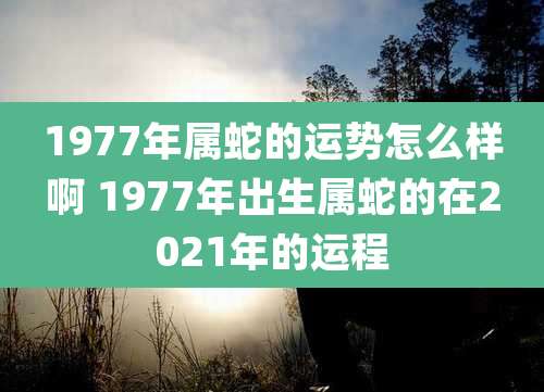 1977年属蛇的运势怎么样啊 1977年出生属蛇的在2021年的运程