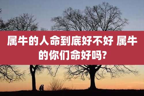 属牛的人命到底好不好 属牛的你们命好吗?