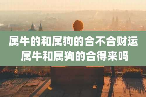 属牛的和属狗的合不合财运 属牛和属狗的合得来吗