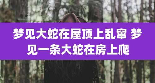 梦见大蛇在屋顶上乱窜 梦见一条大蛇在房上爬