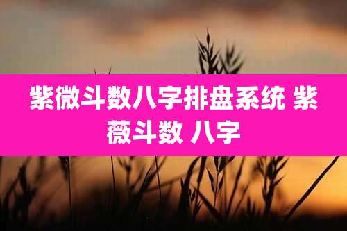 紫微斗数八字排盘系统 紫薇斗数 八字
