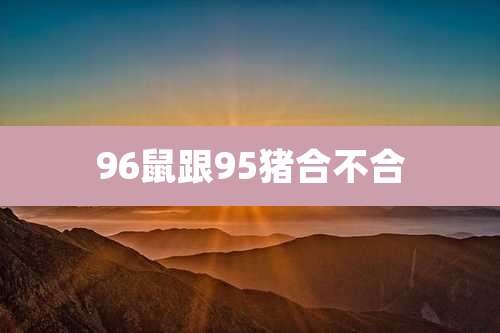 96鼠跟95猪合不合