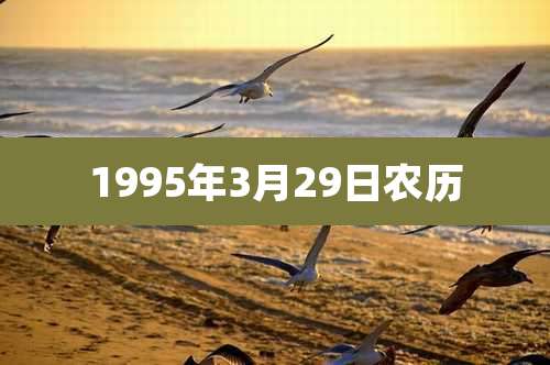 1995年3月29日农历