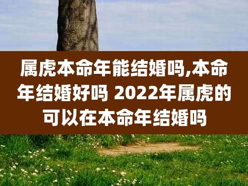 属虎本命年能结婚吗,本命年结婚好吗 2022年属虎的可以在本命年结婚吗