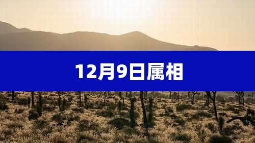 12月9日属相
