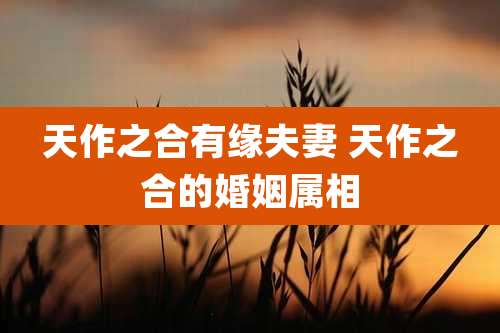 天作之合有缘夫妻 天作之合的婚姻属相