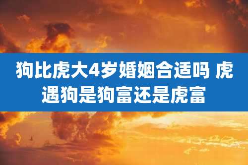 狗比虎大4岁婚姻合适吗 虎遇狗是狗富还是虎富