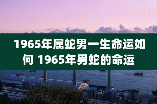1965年属蛇男一生命运如何 1965年男蛇的命运