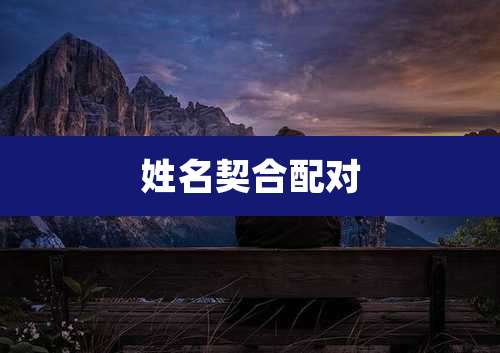 姓名契合配对