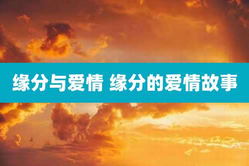 缘分与爱情 缘分的爱情故事