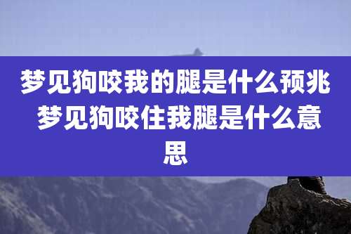 梦见狗咬我的腿是什么预兆 梦见狗咬住我腿是什么意思