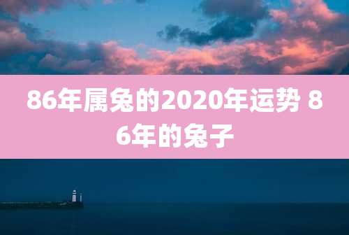 86年属兔的2020年运势 86年的兔子