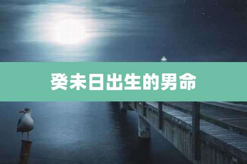 癸未日出生的男命