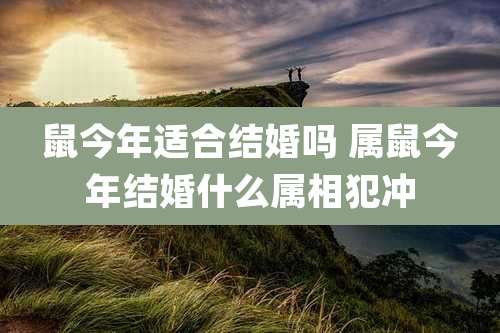 鼠今年适合结婚吗 属鼠今年结婚什么属相犯冲